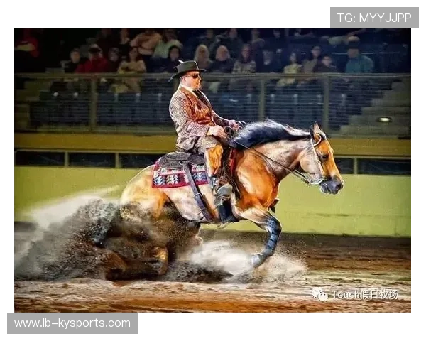 揭秘马术选手背后的坚持，马术reining